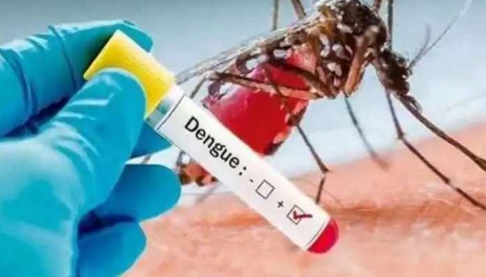 Gwalior dengue cases