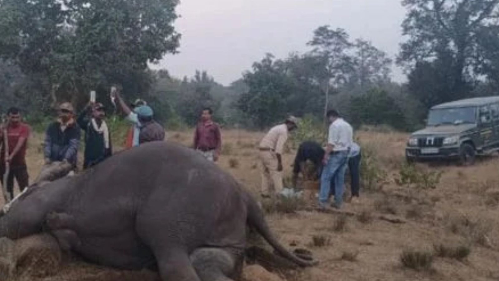 Bandhavgarh